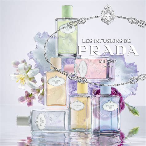 iris prada equivalenza|Perfumes Similar To Prada Infusion d'iris [Tested Dupes].